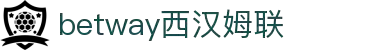BETWAY·必威(西汉姆联)官方网站-West Ham United